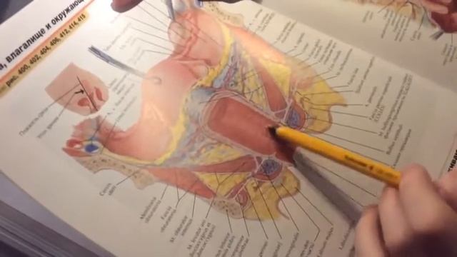 2 41 Влагалище смотреть онлайн