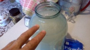 Лучшая подкормка для рассады своими руками