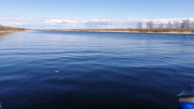 ОТКРЫТИЕ СЕЗОНА ЖИДКОЙ ВОДЫ. Ловля плотвы с лодки на поплавок. смотреть онлайн