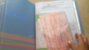 ОРГАНИЗАЦИЯ ХРАНЕНИЯ ДОКУМЕНТОВ ДОМА. УДОБНЫЙ СПОСОБ