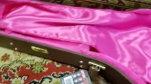 Gator GW LP BROWN unboxing and review. КЕЙС ГАТОР РАСПАКОВКА И ОБЗОР.! Лучший кейс для гитары !