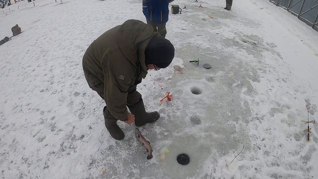 КРХ Зеленый Берег 10.12.22. Глюченое видео ((( смотреть онлайн