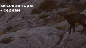 ПСАЛОМ 103