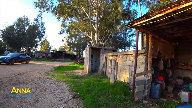 Турция - как живут в деревне. Деревенская жизнь под Мерсином смотреть онлайн