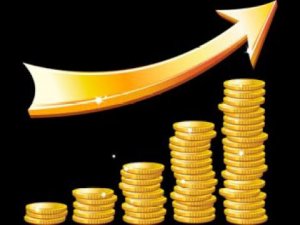 Финансовая история