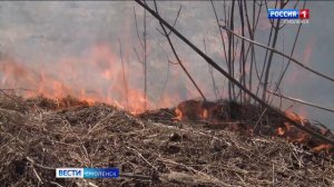 ГТРК Смоленск - в Смоленской области поджигателей сухой травы оштрафовали на 100 тысяч рублей