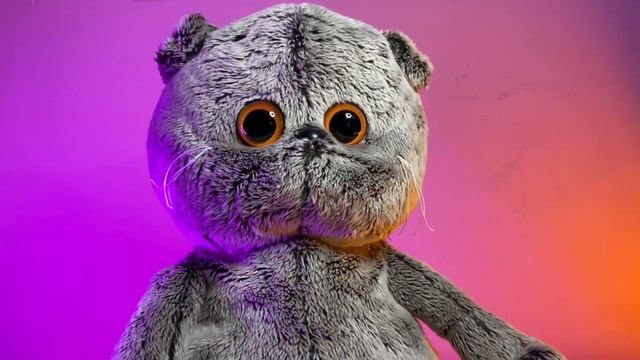 Басик и его сказка о Вике и изумительное преображение мухи. смотреть онлайн