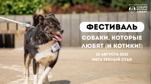 Фестиваль "Собаки, которые любят" 22.08.2021