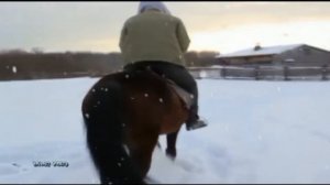 Сектор Газа Ночь перед рождеством