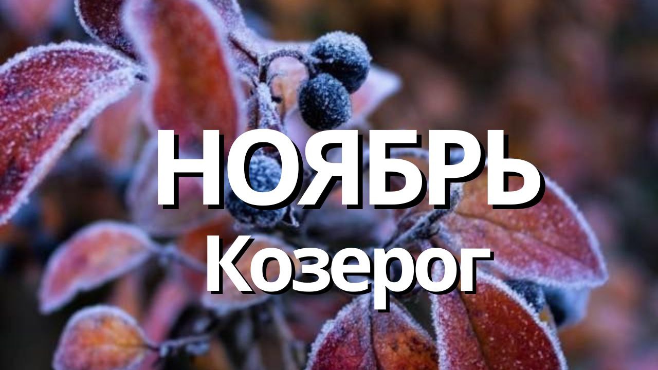 КОЗЕРОГ НОЯБРЬ 2023 Таро прогноз]