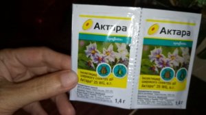 ТРИПСЫ АТАКОВАЛИ МОИ ФАЛЕНОПСИСЫ ! АКТАРА - как развести и по какой схеме буду обрабатывать . .
