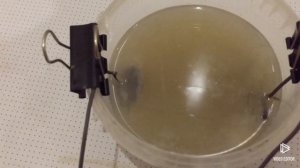 СУПЕР #ЧИСТКА МОНЕТ! КАК ПОЧИСТИТЬ МОНЕТЫ ПОСЛЕ КОПА! #КОП МОНЕТ.#ВОССТАНОВЛЕНИЕ МОНЕТ! #СИДИДОМА