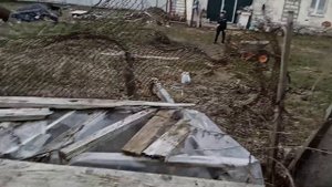 Огород 2023 Из ленивого в не ленивый - подготовка земли