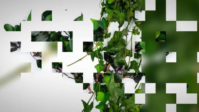 Стабилизированные растения от GEM смотреть онлайн