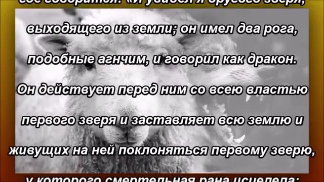 Единая мировая религия, лжепророк