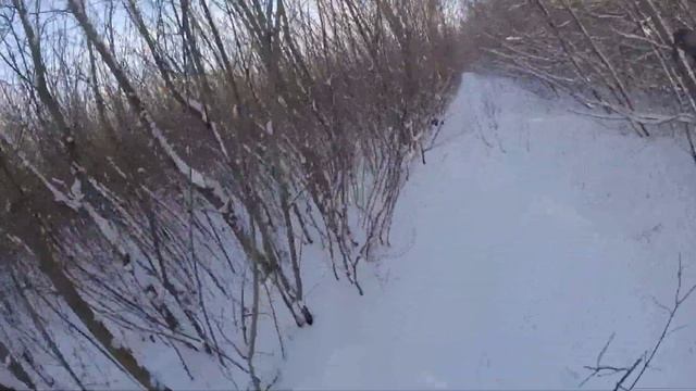 Коллективная охота на зайца. 22 декабря 2021, Рязанская обл. смотреть онлайн