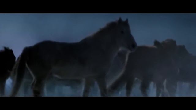 ВИТАЛИЙ ВОЛК- ВОЛЧЬЯ ДОЛЯ смотреть онлайн