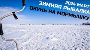 Зимняя рыбалка 2024 Ловля окуня на мормышку Ириклинское водохранилище рыбалка