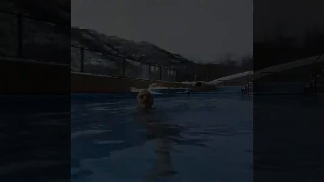 Камчатка паратунка смотреть онлайн