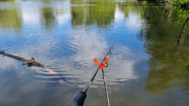 На что ловить КАРАСЕЙ!? / Донка или Поплавок? смотреть онлайн