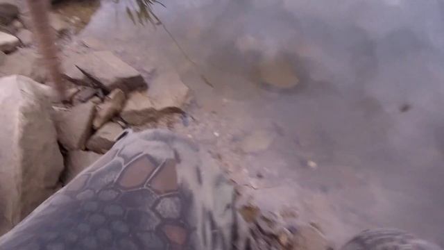 На платнике щуки ломают подсаки! Платник как всегда порадовал поклевками. смотреть онлайн