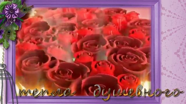 С днем рождения, Люба ! - Поздравление от Академии "ШАНС" смотреть онлайн