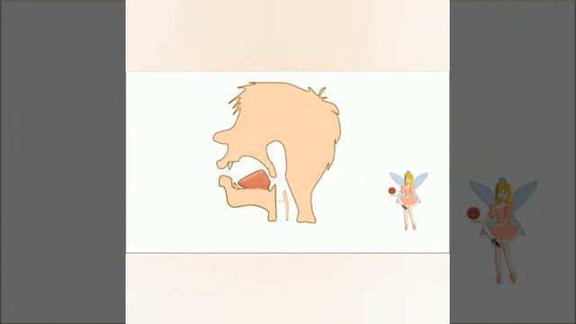 WhatsApp Video 2020 10 02 at 17 24 52 смотреть онлайн