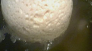 Творог из козьего молока