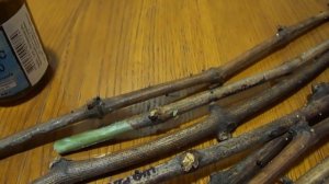 Хранение и проверка черенков винограда зимой