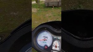 Запуск скутера irbis lx 50cc