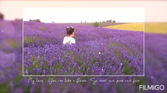 lavender field смотреть онлайн