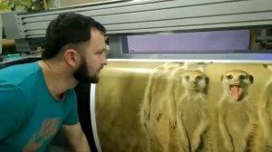 Как делается фотопечать на натяжном потолке.