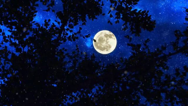 Lovely full moon in the night sky | Relaxing nature video | Moon background смотреть онлайн