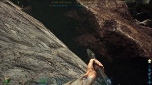 Гигантская ПЧЕЛА ARK Survival Evolved! Полный обзор! Приручаем Пчел для улья!