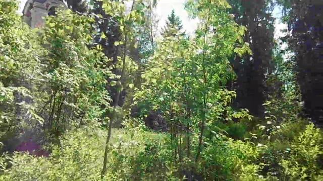 "Затерянный в лесах". Урочище Кобякова Горка, поход к старинному храму Трёх Святителей смотреть онлайн