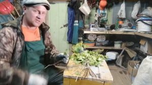 Как заработать в деревне? 100% вариант!!! На березовых вениках. Как правильно вязать веники!!!