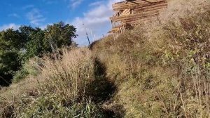 Сера для подкисления почвы под голубикой