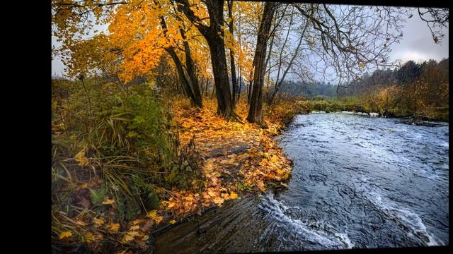BEAUTIFUL AUTUMN MUSIC КРАСИВЕЙШАЯ МУЗЫКА ОСЕННЯЯ