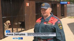 Кинологи МЧС России рассказали о своей службе
