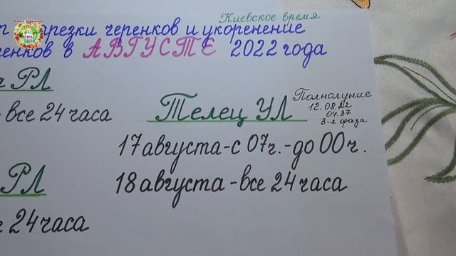 Агрогороскоп нарезки и укоренения черенков в августе 2022 года смотреть онлайн