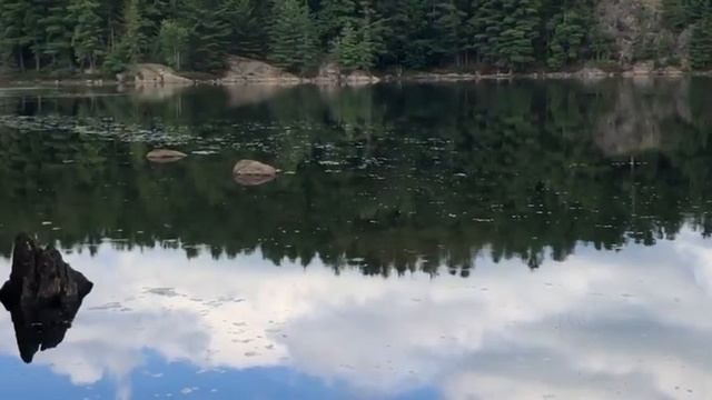 СУРА ЯСИН: ОТКРОЙСЯ ДЛЯ МИЛОСТИ АЛЛАХА ПЕРЕД СНОМ! ИСЦЕЛЕНИЕ ДУШИ смотреть онлайн