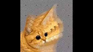 YOU SPIN ME RIGHT ROUND COMPILATION #3