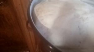 Как за парить гуся или утку что бы легко и быстро ощипать. Как  легко ощипать гуся