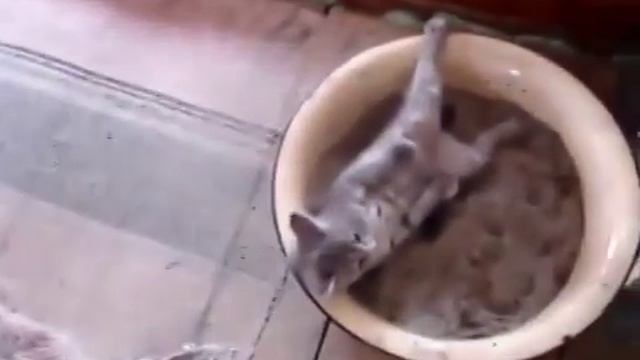 Лежа в туалете