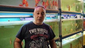 Большой или Маленький объем для Дискусов . Самые интересные моменты .