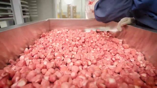 Сублимированные продукты ФРИСТАЙЛ смотреть онлайн