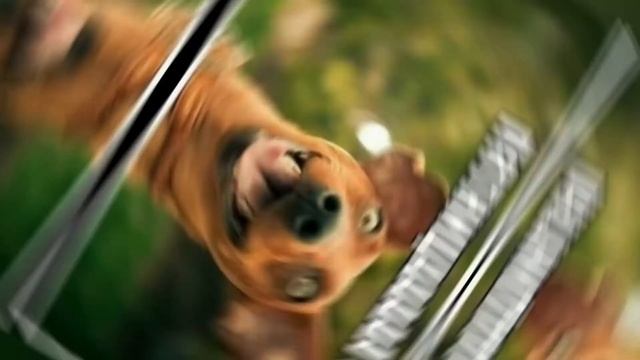 Пятница, ура, конец рабочей недели смотреть онлайн