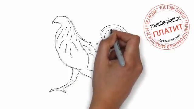 Как красиво нарисовать гоночного петуха смотреть онлайн