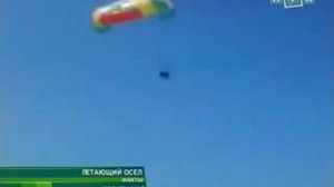 Летающий осел в Голубицкой Азовское море.