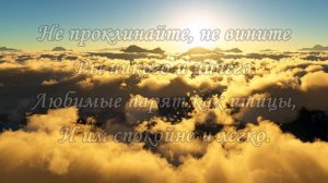 Дорогому брату Олегу